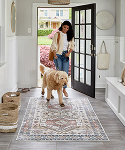 Washable Rugs Wash Dog Mess