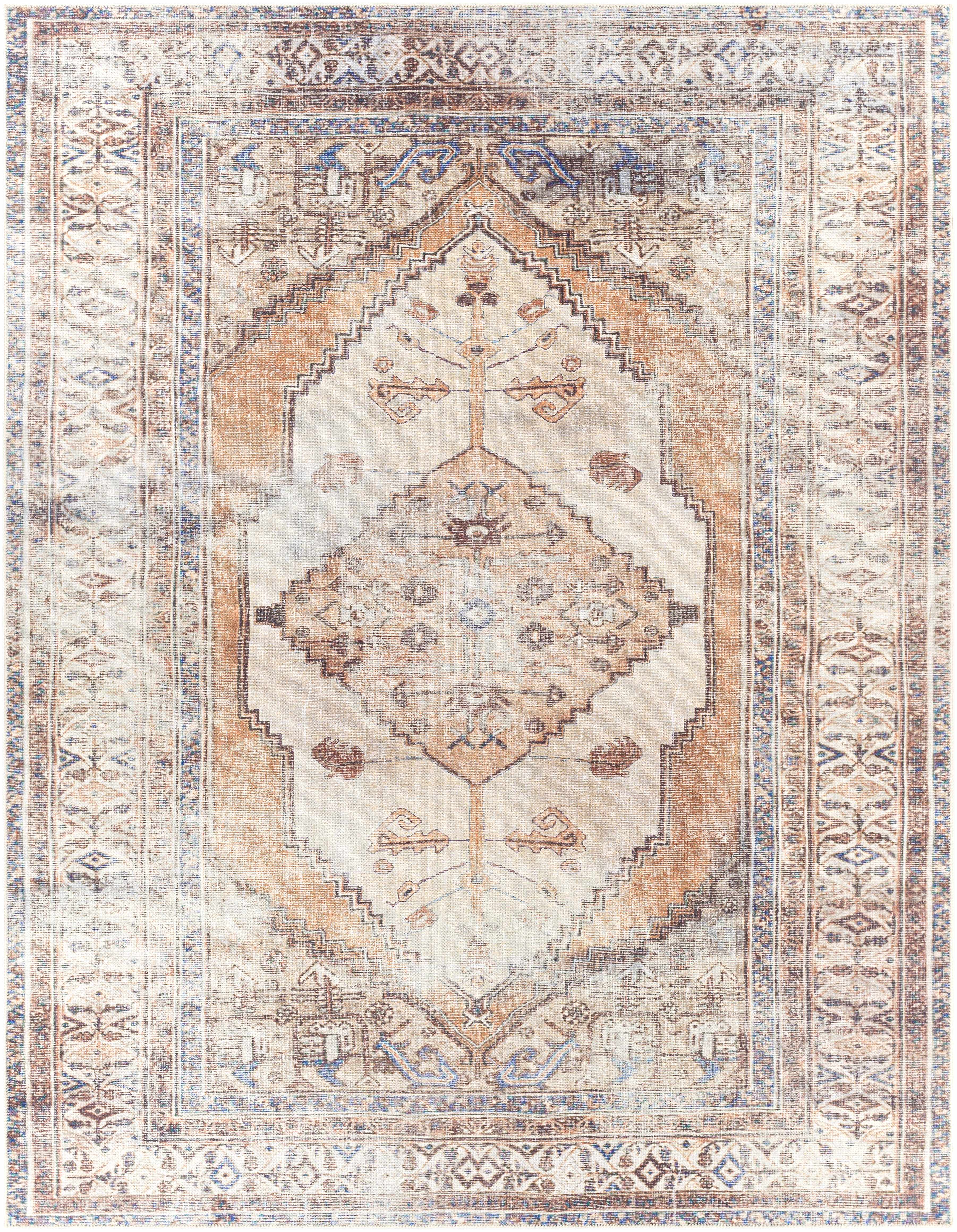 Arncliffe 7'10in x 10'2in Traditional Washable Area Rug - Hauteloom