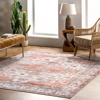 Beige Rain Haven Francis Cartouche Medallion Washable rug - Traditional Rectangle 9' x 12'