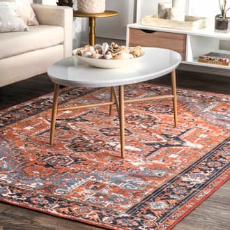 Rust Soltera Dynasty Traditional rug - Traditional Rectangle 9' 10in x 13' 8in