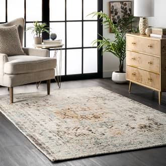 Multi Ravina Vintage Medallion rug