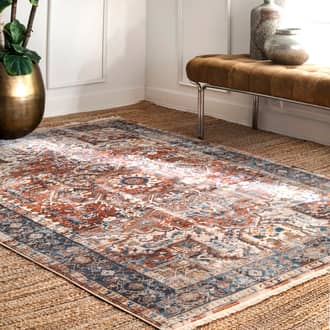 Rust Edessa Timeworn Charm rug - Transitional Rectangle 9' x 12'