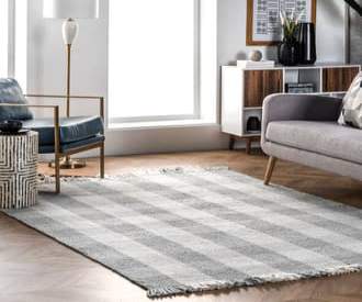 Gray Agora Hope Tasseled Gingham rug