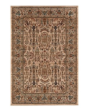Karastan Spice Market Cassia Area Rug, 8' x 11'