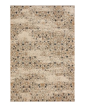 Karastan Touchstone Eme Area Rug, 8' x 11'