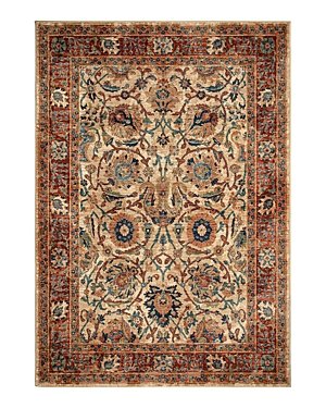 Palmetto Living Alexandria Persian Varse Area Rug, 5'1 x 7'6